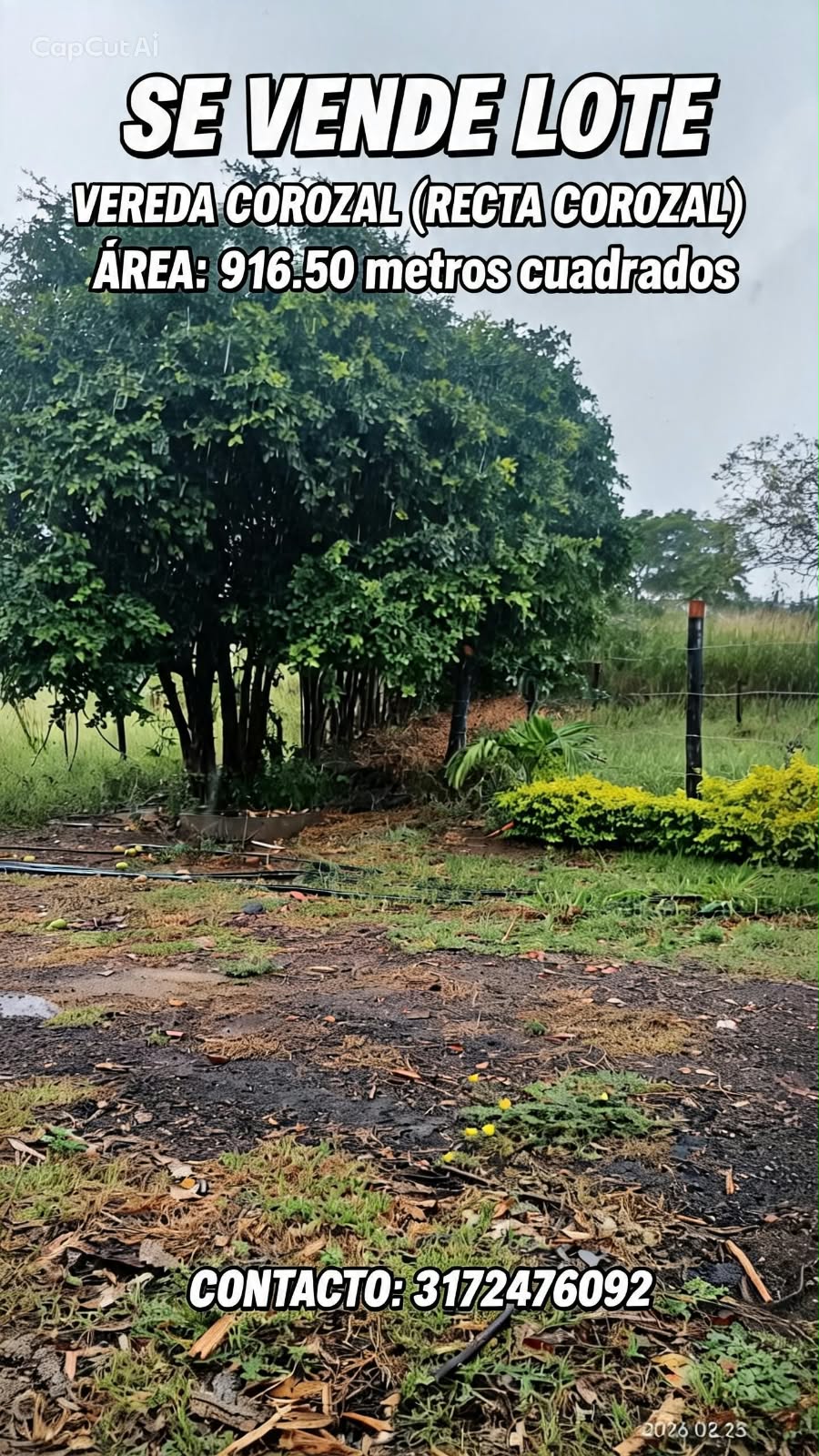 LOTE RECTA COROZAL